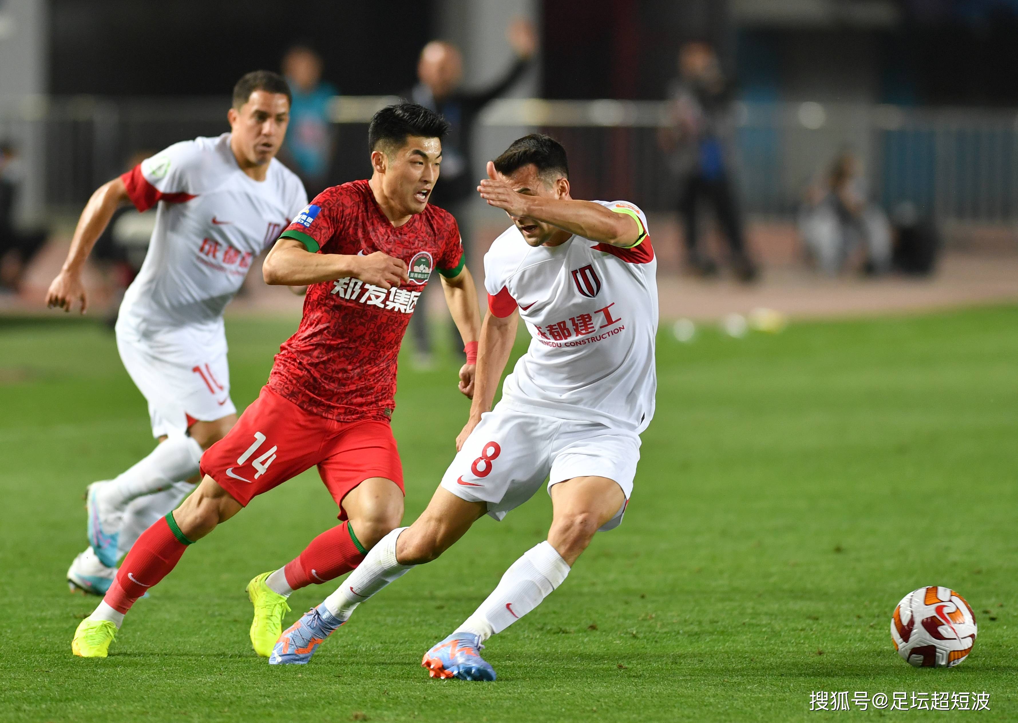 也为中国羽 也为中国羽