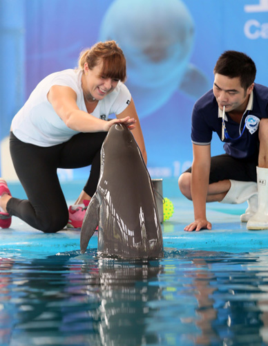 德国队以中 德国队以中