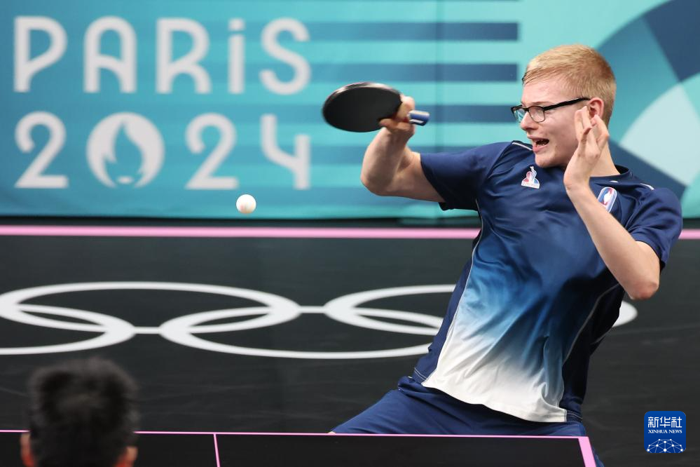 球迷和专家 球迷和专家