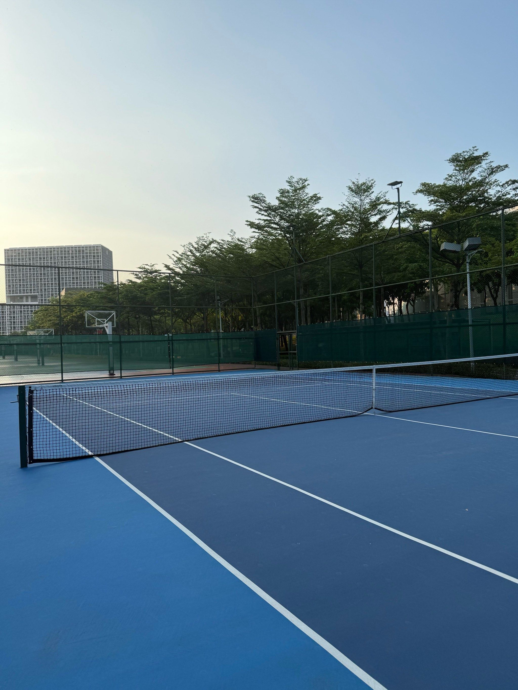 这条内容 这条内容